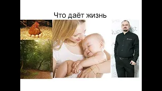 Тепло, как важный фактор для жизни