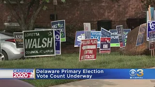 Gov. John Carney, Sen. Chris Coons Defeat Challengers In Delaware Primary Election