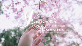 HIRAHARA AYAKA " INOCHI NO NAMAE " | OST Spirited Away | Lyrics and Vietsub