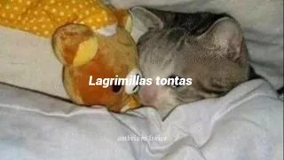 Lagrimillas tontas// Grupo Montéz De Durango (letra)