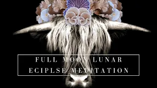 Lunar Eclipse in Taurus November 2021 | Guided Meditation