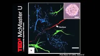 TEDxMcMasterU - Dr.Sheila Singh