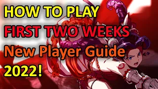 2022 - FIRST TWO WEEKS GUIDE! Epic Seven - New Player Guide