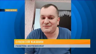 Генетично модифіковані продукти: безпечні чи ні?