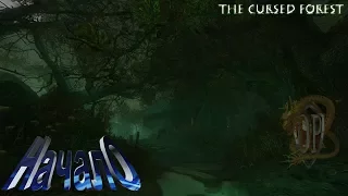 The Cursed Forest (Начало)