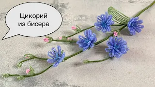 Цикорий из бисера. Цветы из бисера.