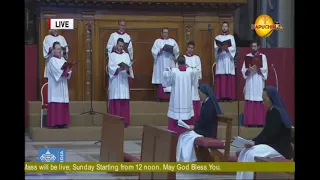 Easter Sunday Mass LIVE presided by his Grace Antony Muheria at  Holy Family Basilica Nairobi.