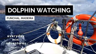 Dolphin Watching in Funchal, Madeira