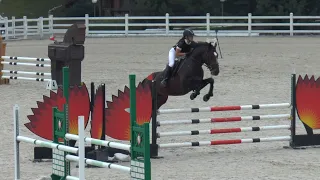 Show Jumping Equides Cup 6 етап, маршрут 11