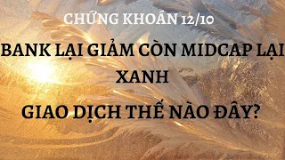 Chứng khoán hàng ngày 12/10: Bank lại giảm còn Midcap lại tăng - Giao dịch thế nào đây?