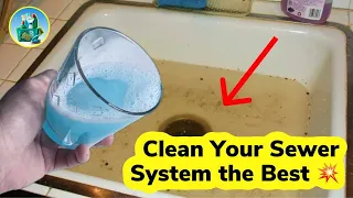 This Product Will Clean Your Sewer System the Best 💥 Clogged Pipes are NO Longer a Problem!