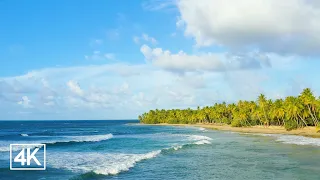 [4K] 🇩🇴 Tropical Coast At Dominican Republic | Relaxing Waves Sounds for Sleep or Work | 8 hours