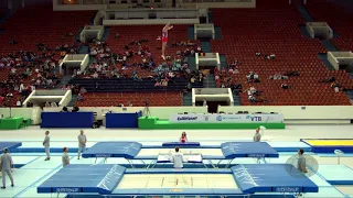 LITVINOVICH Ivan (BLR) - 2018 Trampoline Worlds, St. Petersburg (RUS) - Qualification Trampoline R2