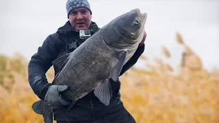 ХИТРАЯ СНАСТЬ на щуку ловит ТОЛСТОЛОБА! Рыбалка.