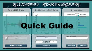 Shared Synergies: Quick Guide