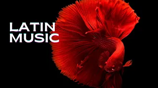 Latin music - Chill music | Relaxing music before bed | soft music | Music for sleep | love music