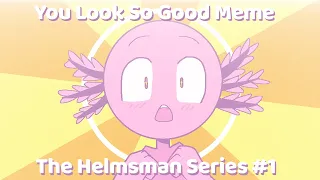 You Look So Good Meme || The Helmsman Series #1