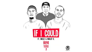 DJ Hoppa - If I Could feat. SwizZz & Marley B. (Hoppa and Friends 2)