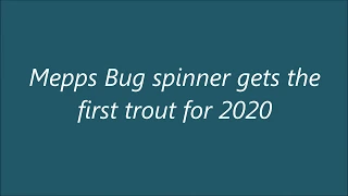 Mepps Bug spinner gets the first trout for 2020