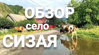 Дом на Юге не ДОРОГО село Сизая честный обзор Улицы Плюсы и Минусы Место где хочется ЖИТЬ