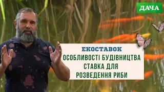 Особливості Будівництва Ставка для Розведення Риби. Розведення Риби в Домашніх Умовах.