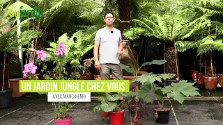 Quelles PLANTES pour créer un JARDIN JUNGLE RUSTIQUE ? 🌴