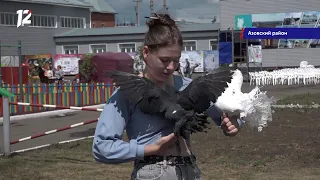 Омск: Час новостей от 25 июля 2022 года (11:00). Новости