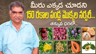 Rear 150 Types Of Fruit Plants Nursery | అరుదైనా పండ్ల మొక్కలు దొరికే నర్సరీ | Shiva Agri Clinic