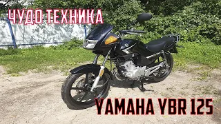 Обзор легенды Yamaha YBR 125