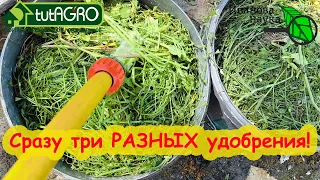 СРАЗУ ТРИ БЕСПЛАТНЫХ УДОБРЕНИЯ ИЗ ОДНОГО ПУЧКА ТРАВЫ! Готовим разные удобрения по типу бродиловки.