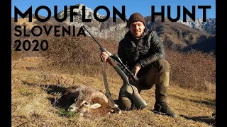 Mouflon Hunt / Muffeljagd / Caccia Muflone / Chasse / Polowanie Muflony / Mouflonjakt /Slovenia 2020