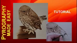 Wood Burning - Pygmy Owl - pyrography tutorial