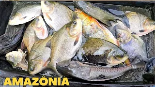 Pescando TUCUNARÉ PIRAPITINGA RUELO e fazendo uma deliciosa CALDEIRADA no lago na Amazônia