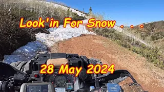 Look'in For Snow   28 May 2024