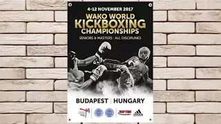 #23 Shelest Pavel (BLR) vs. Belarmino Guilherme (BRA) WAKO World Kickboxing Championships 2017