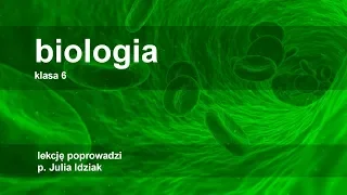 Klasa 6 - Biologia - płazy kręgowce wodno-lądowe | szkoła