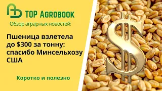 Пшеница взлетела до 300 долларов за тонну: спасибо Минсельхозу США.  TOP Agrobook: агроновости