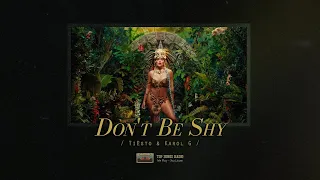 [Lyrics   Vietsub] Tiësto & Karol G - Don't Be Shy