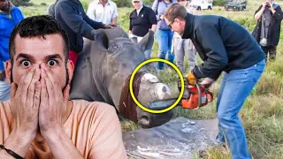 When Vets Cut Off A Rhino’s Horn To Prevent Poaching, They Found A Strange Symbol Running Through It