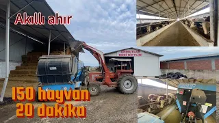 150 hayvana 20 dakikada bakıyoruz, bağlı hayvanda mazgal sistemi olurmu?