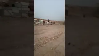 دور المام القاسم قطاع ٧٣