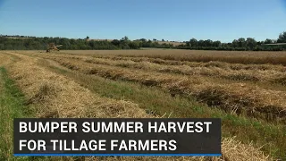 Bumper summer harvest for tillage farmers