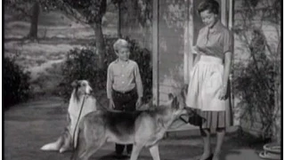 Lassie - Episode #241 - "The Patriot"- Season 7 Ep. 22 -  02/12/1961