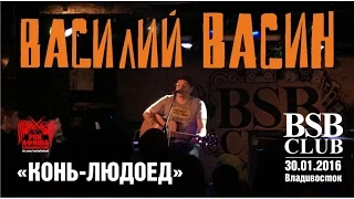 Вася Васин - Конь-людоед (Live, Владивосток, 30.01.2016)