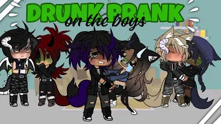 DRUNK prank on the boys!! PART 1| Gacha Taffy