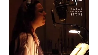 Amy Lee - Speak To Me  [Snippet]