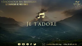 🎶🎶Je t'adore