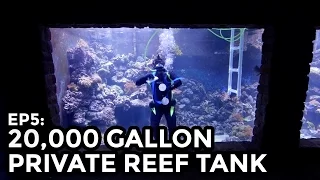 Home 20,000 Gallon Reef Tank, 75,000L - COOLEST THING I'VE EVER MADE: EP5