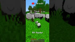 Minecraft'taki Pandaların Gizli Özelliği?! 🐼