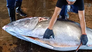 The World's First Cutting Artist Superfully Bluefin Tuna Cutting Skills
